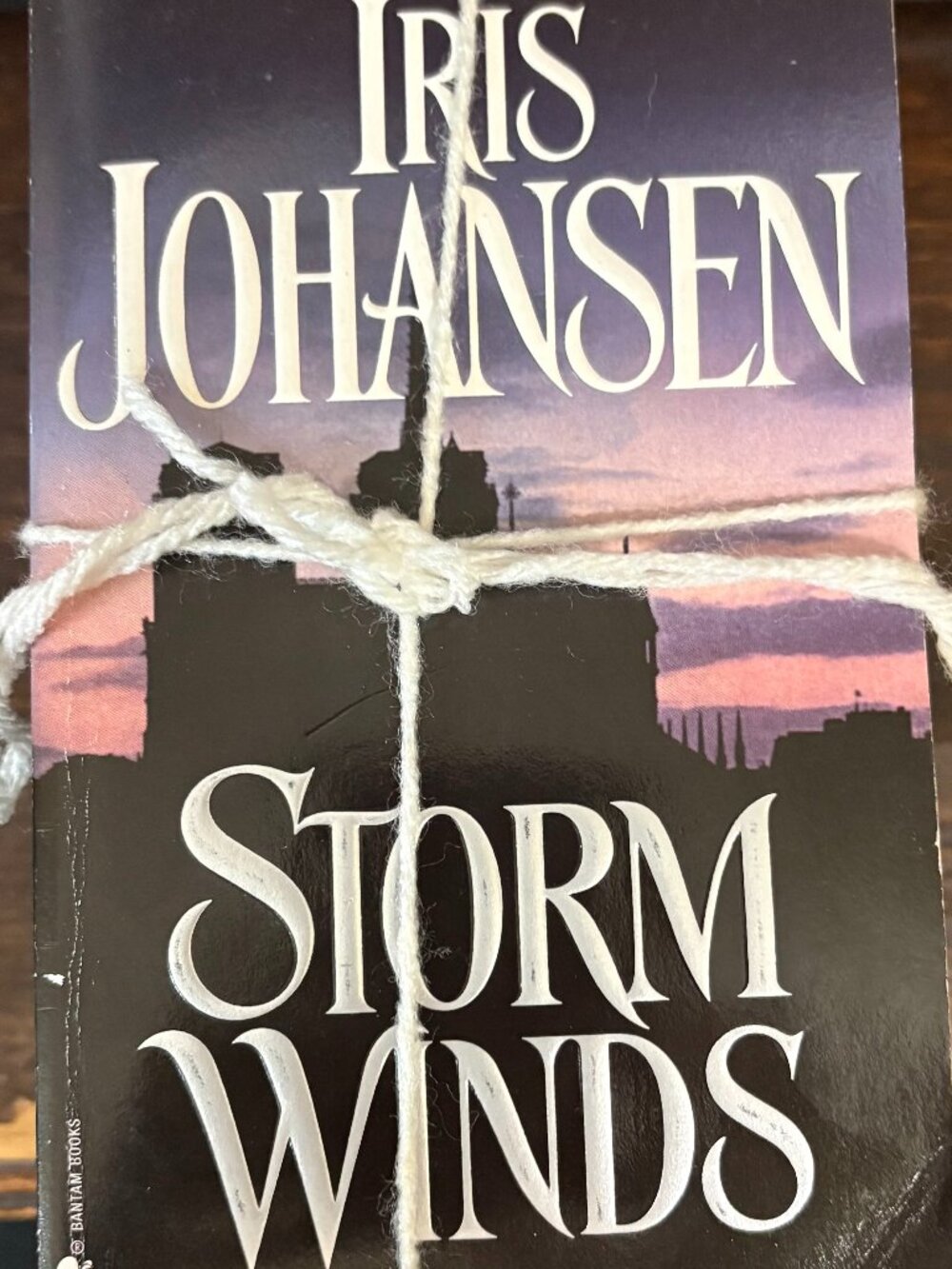 Iris Johansen Book Bundle